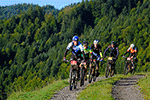 Spitzengruppe